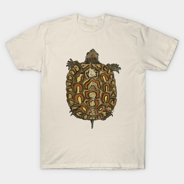 Turtle T-Shirt by ashzeidler